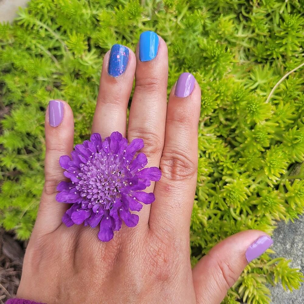 Cool Blast - Customer Photo From Ingrid J.