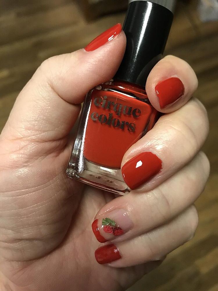 Toadstool - Customer Photo From Pamela C.