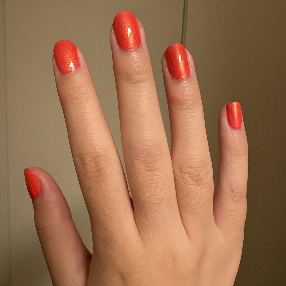 Day Tripper - Customer Photo From Shirley V.