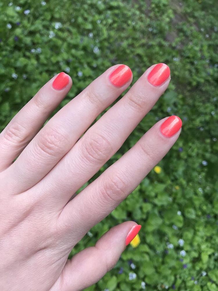 Day Tripper - Customer Photo From Georgia S.