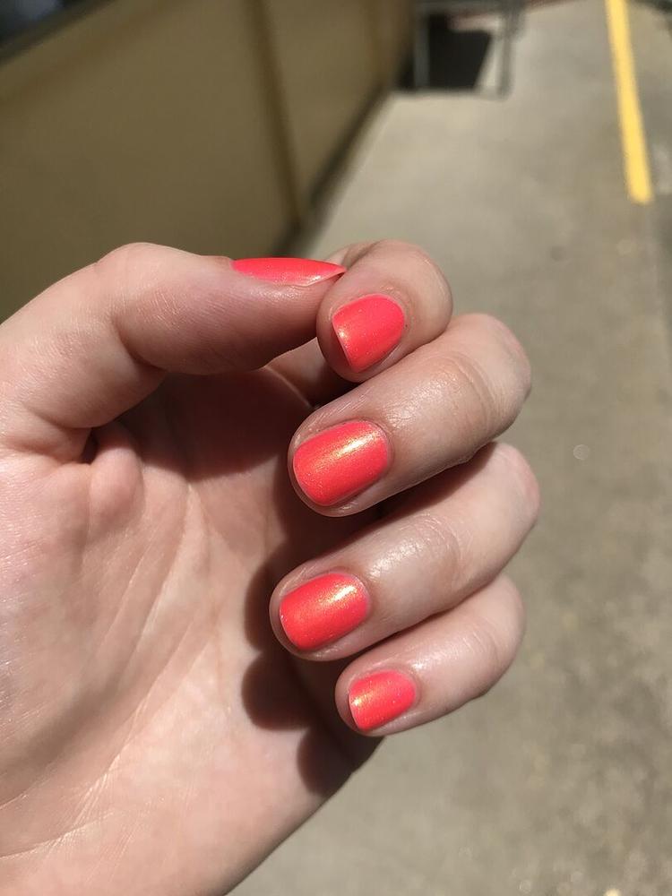 Day Tripper - Customer Photo From Georgia S.