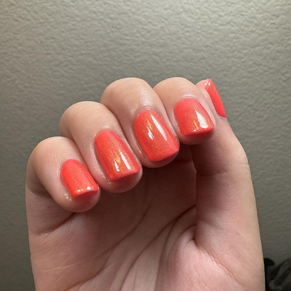 Day Tripper - Customer Photo From Shirley V.