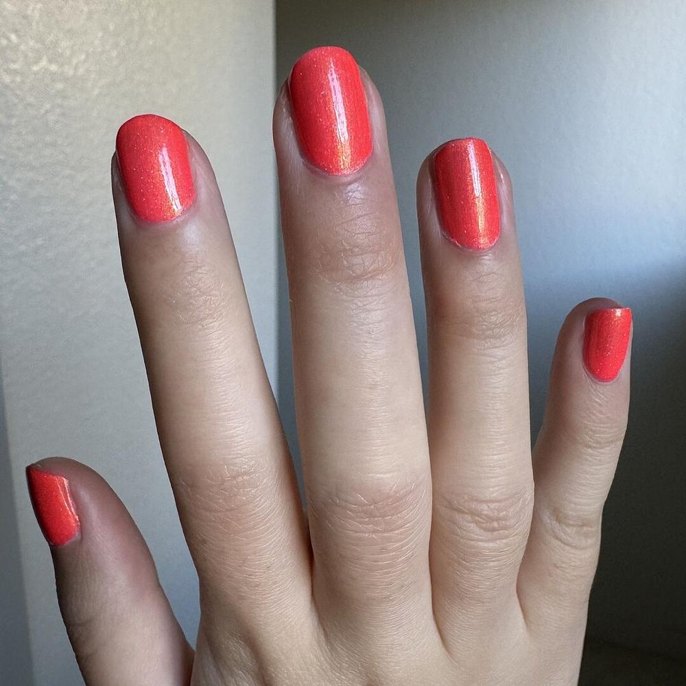 Day Tripper - Customer Photo From Shirley V.