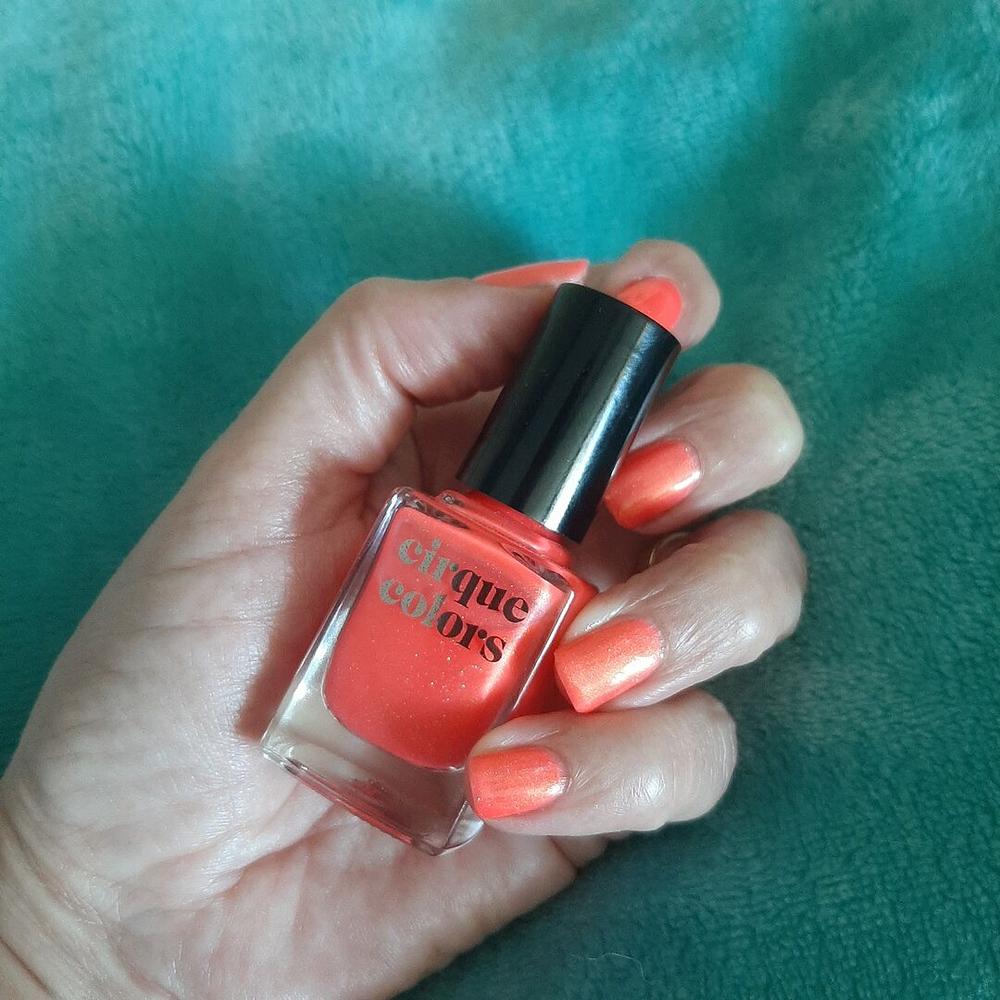 Day Tripper - Customer Photo From Laurence F.