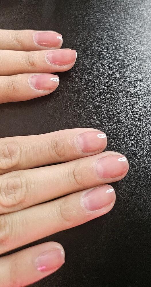 Marsala Jelly - Customer Photo From Su