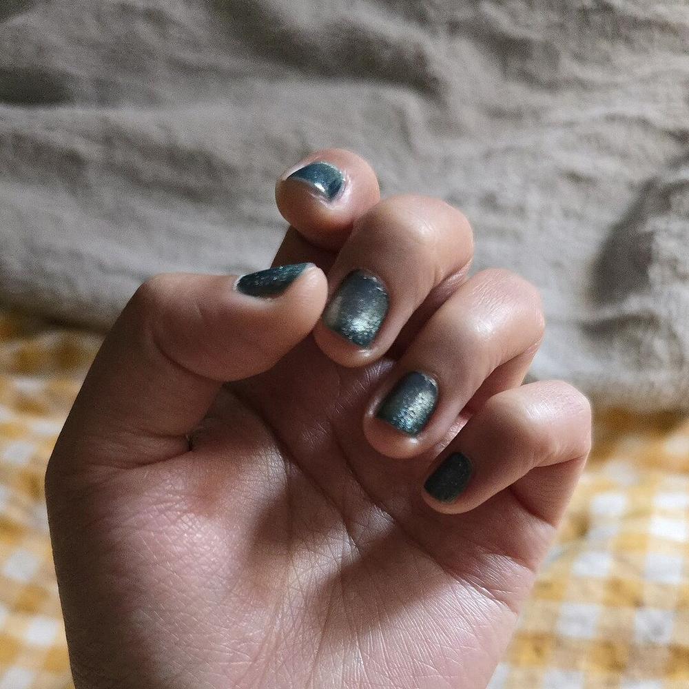 Delphinus - Customer Photo From bel