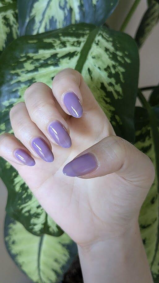 Ube Jelly - Customer Photo From Kali K.