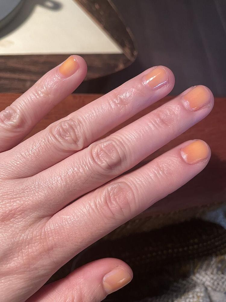 Saffron Jelly - Customer Photo From J