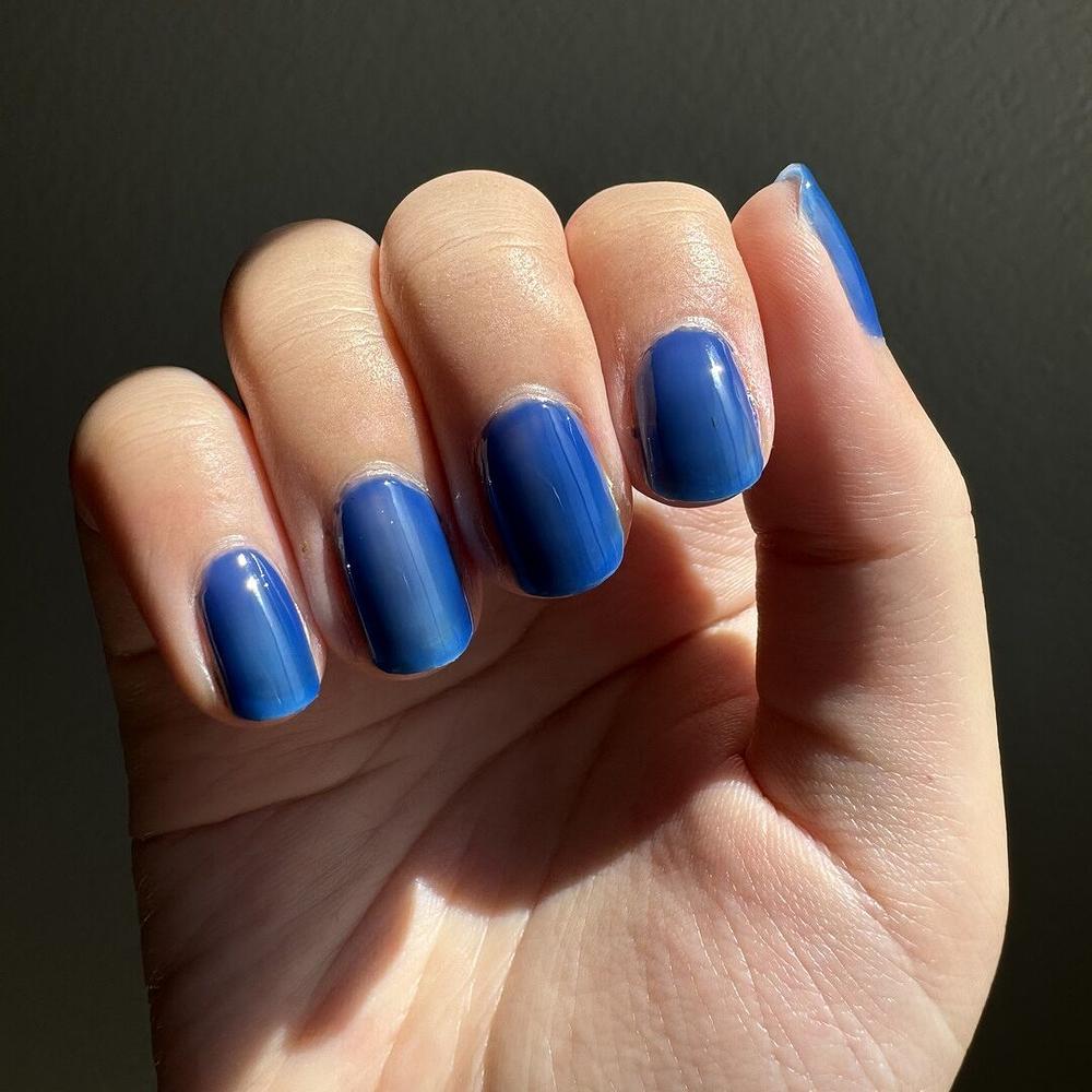 Cobalt Jelly - Customer Photo From Shirley V.