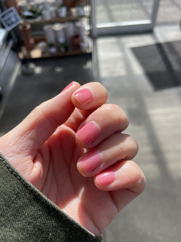 Guayaba Jelly - Customer Photo From Connie L.