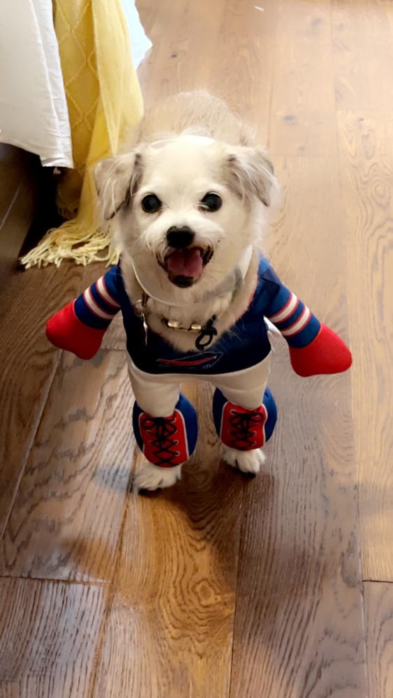 Pick Flavor #4 - Customer Photo From Anonymous