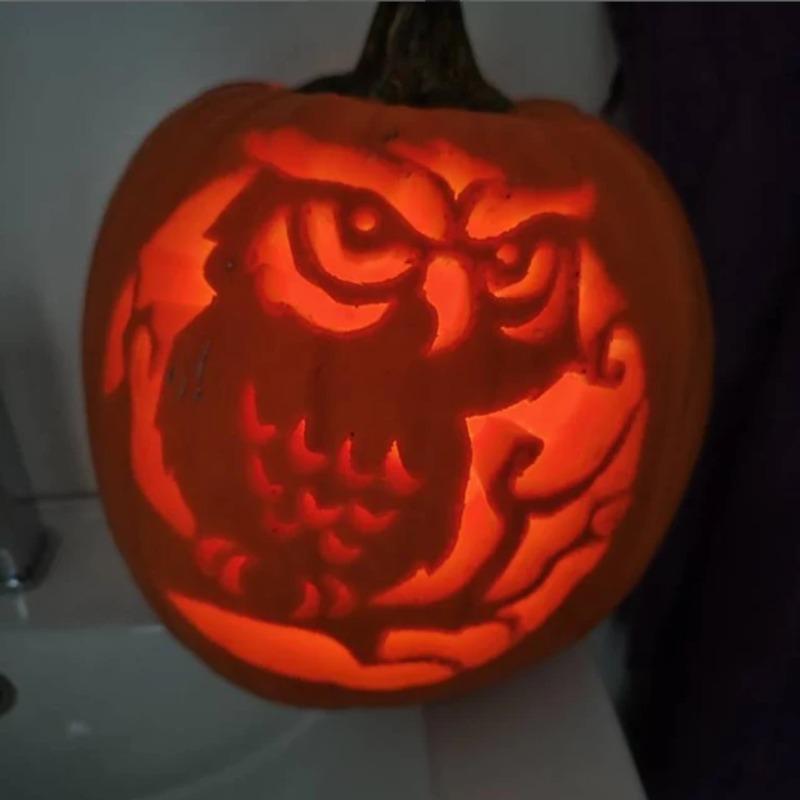 Owl in the Woods Printable Halloween Pumpkin Carving Pattern Stencil - Customer Photo From Christer