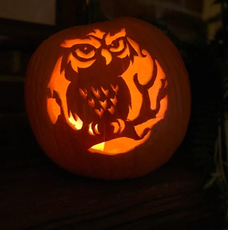 Owl in the Woods Printable Halloween Pumpkin Carving Pattern Stencil - Customer Photo From Shana W.