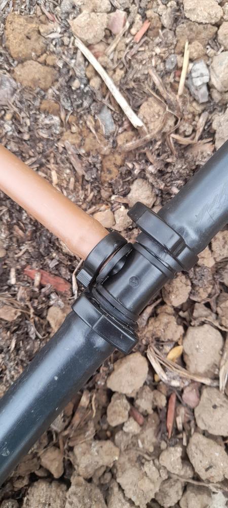 - Customer Photo From Shirley Winters