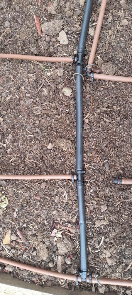 - Customer Photo From Shirley Winters