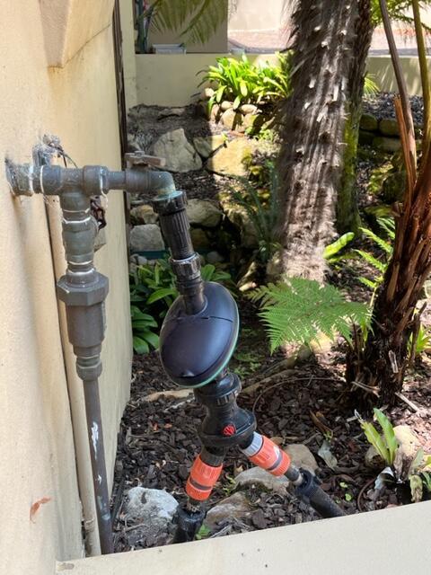  - Customer Photo From Daniel Choy