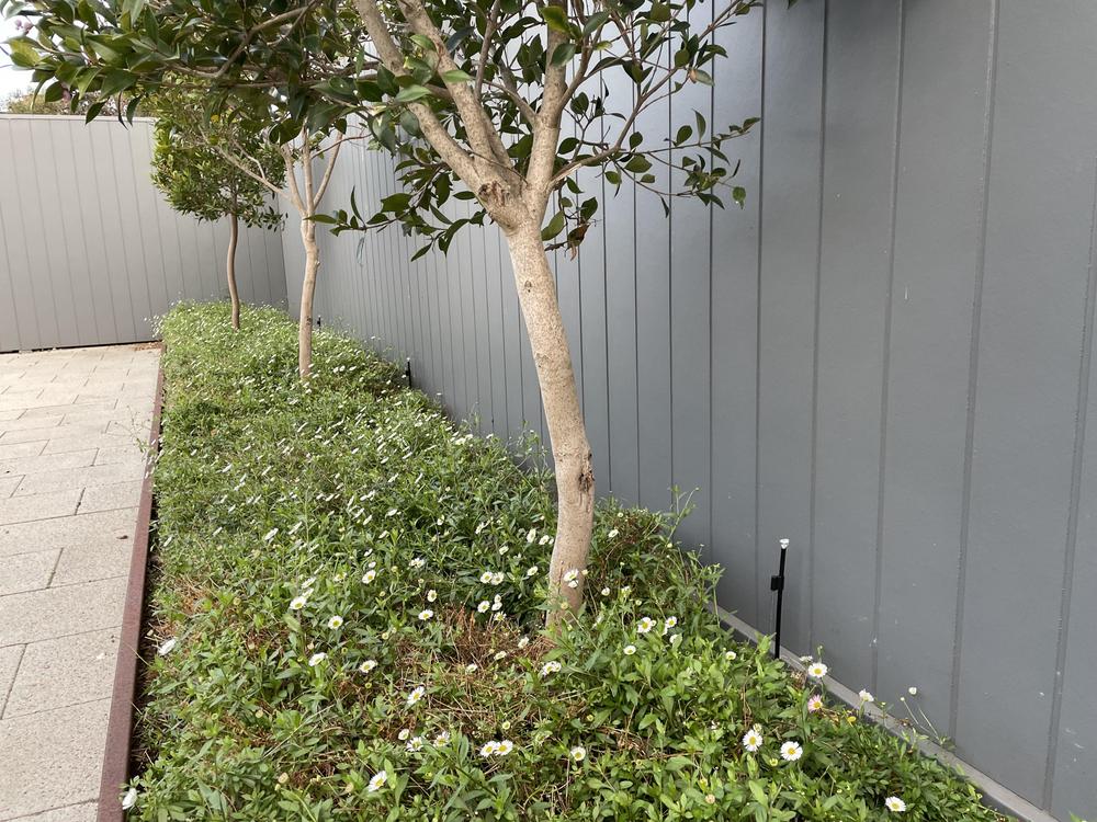  - Customer Photo From Shane Smith