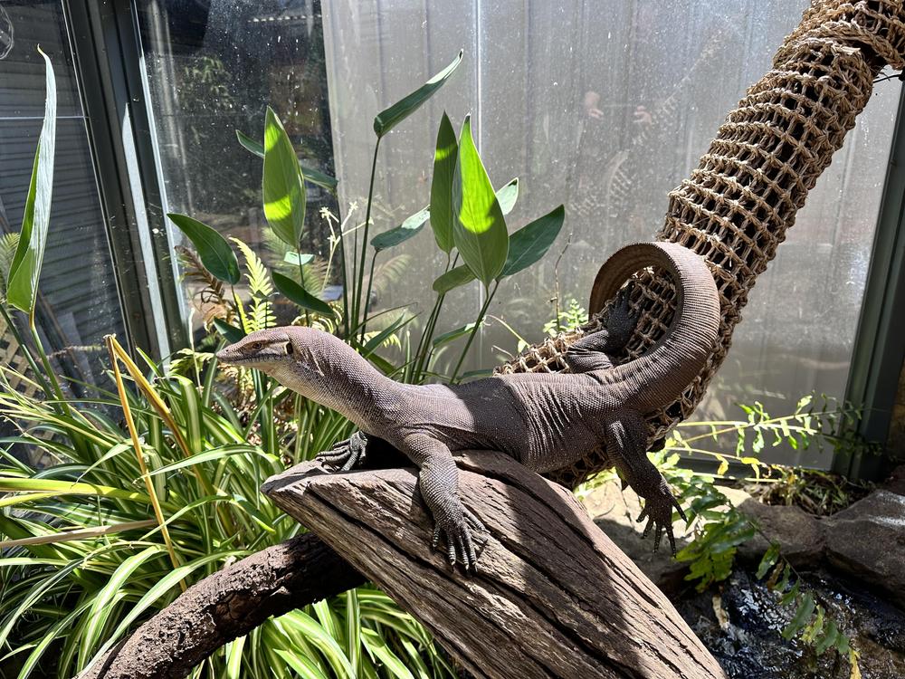  - Customer Photo From Lindsay Barker