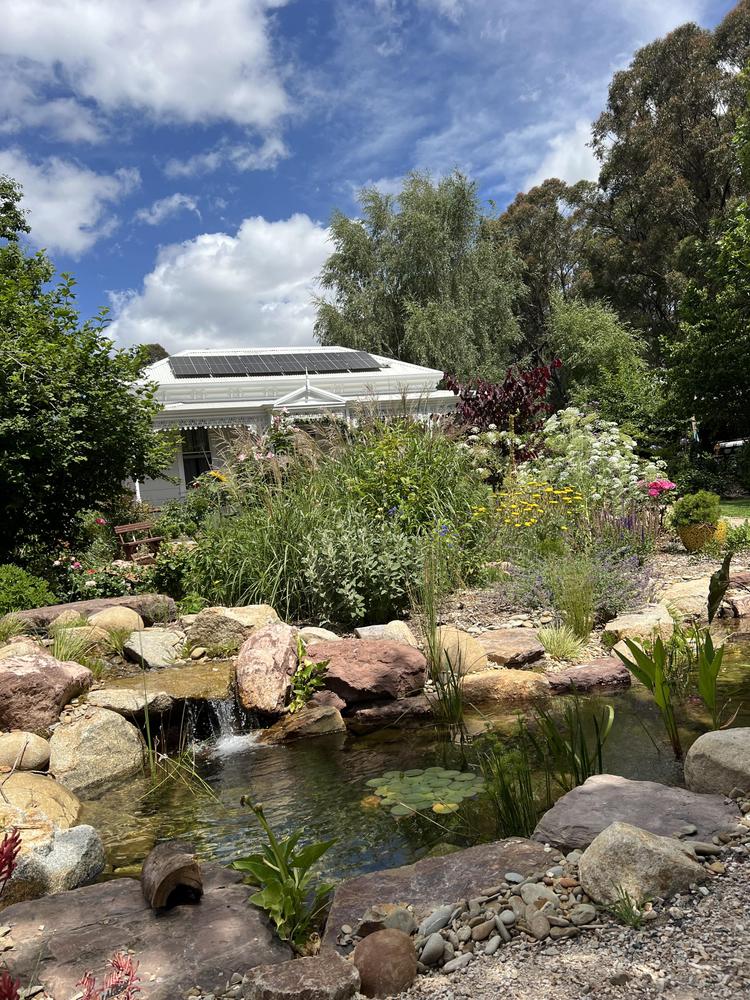 - Customer Photo From Mariela Diaz