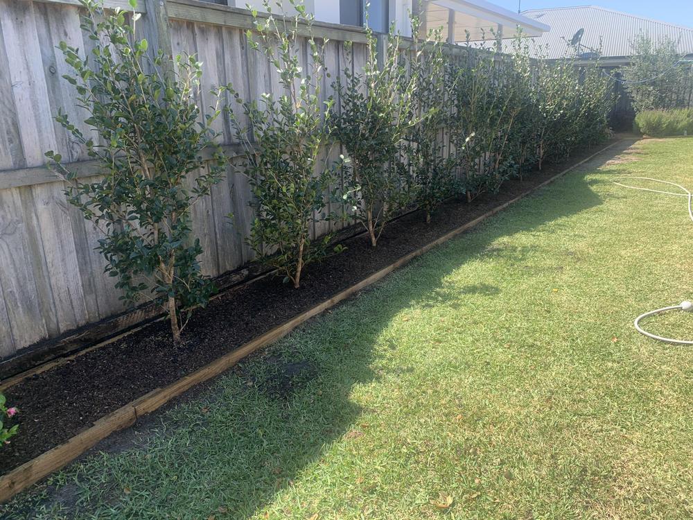  - Customer Photo From Robert Johnson