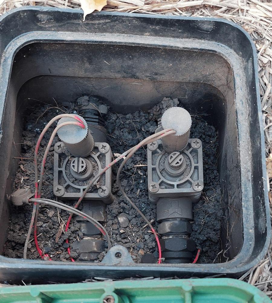 - Customer Photo From Rob Gray