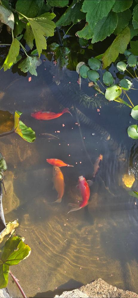  - Customer Photo From Gray-M