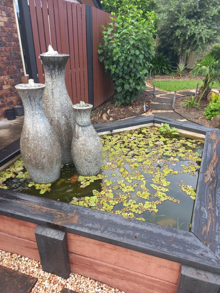 - Customer Photo From Darryl Peters