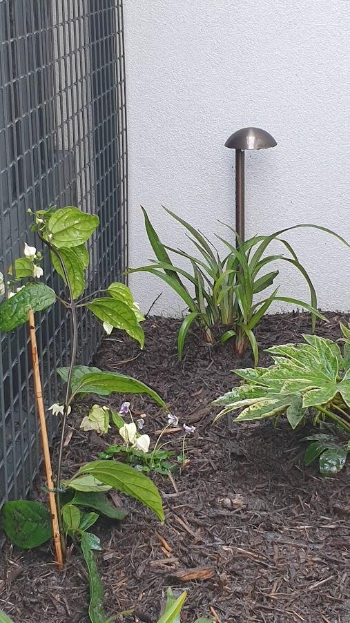 - Customer Photo From Glenn Redmond