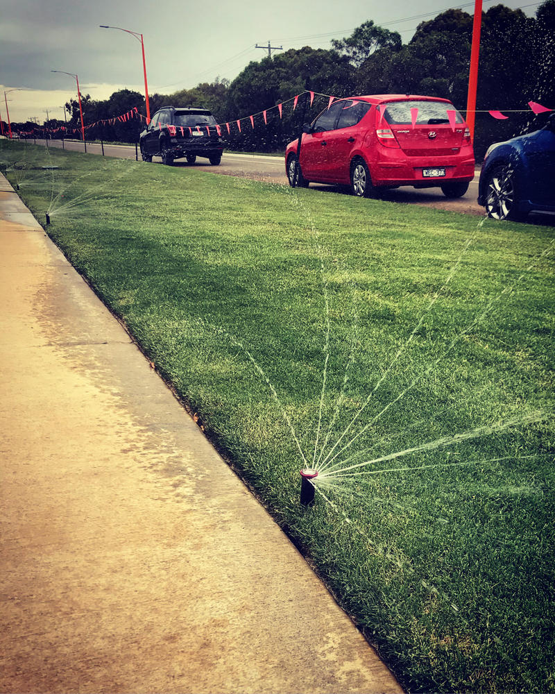 - Customer Photo From Simon M Bando