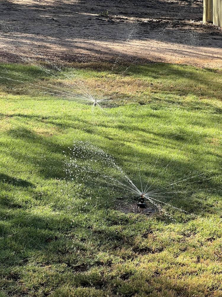 - Customer Photo From Rob C