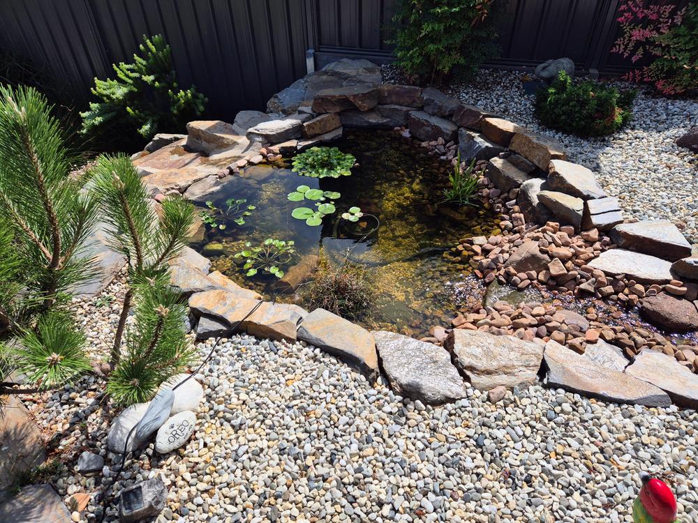  - Customer Photo From Joel V