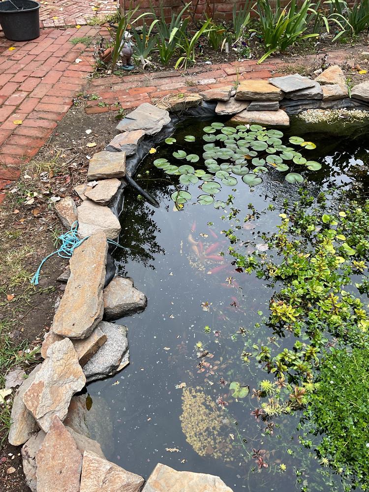 - Customer Photo From Yvonne Ransome