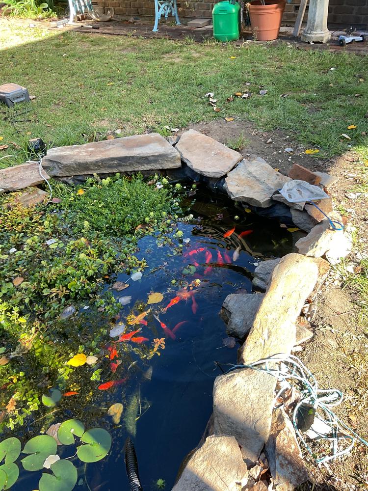 - Customer Photo From Yvonne Ransome