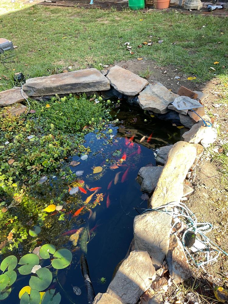 - Customer Photo From Yvonne Ransome