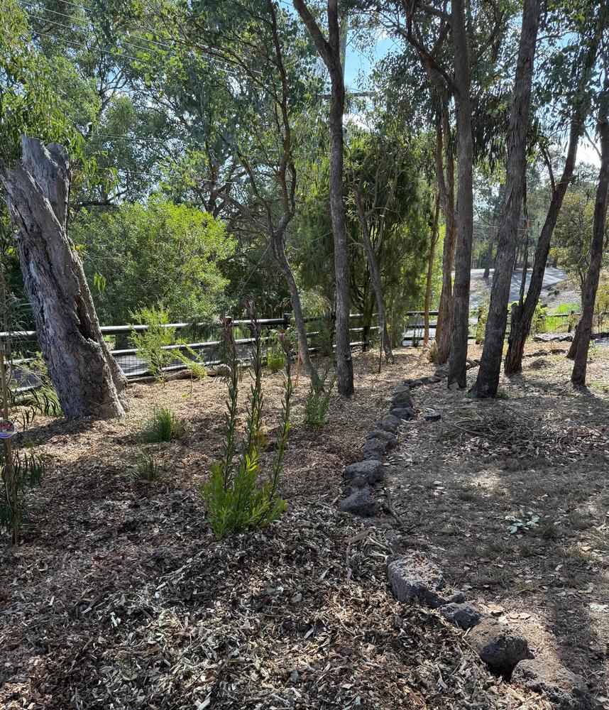 - Customer Photo From Ebony