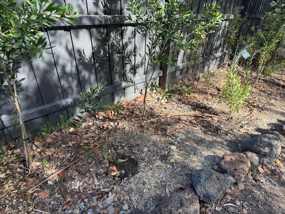 - Customer Photo From Ebony