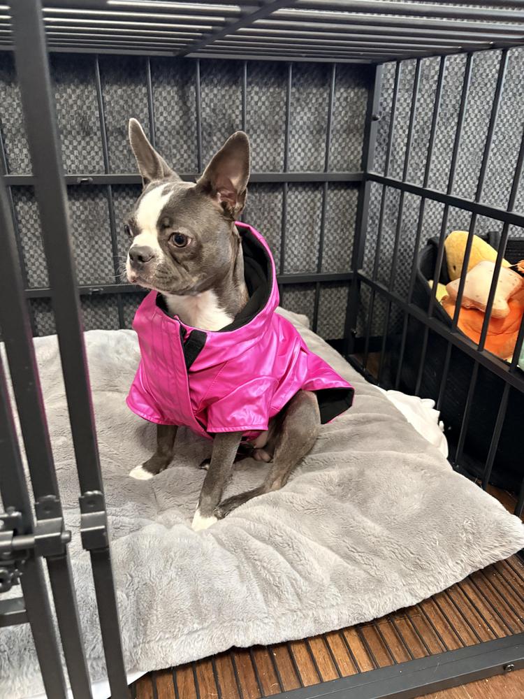 Cold Front Waterproof Dog & Puppy Raincoat | Canada Pooch