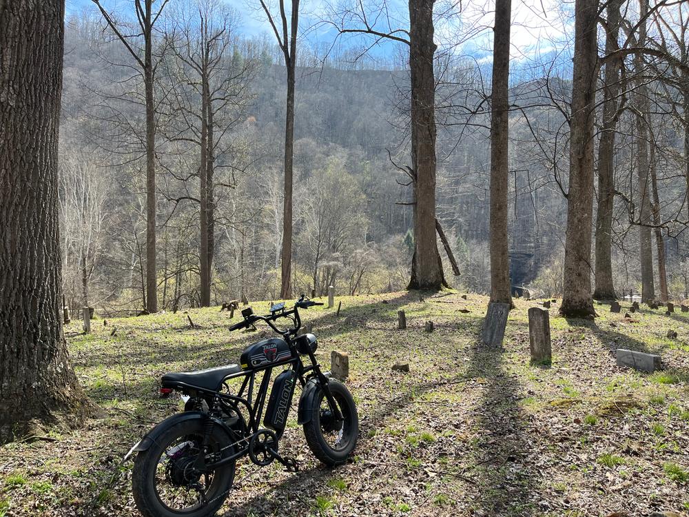 Talon T787 Patriot Limited Edition - Customer Photo From Mike Stewart