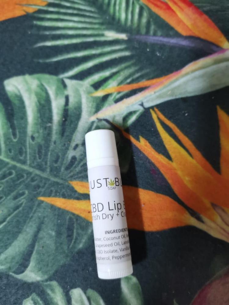 All Natural Lip Balm – Plant-Based Hydration in Pure, Refreshing Scents - Customer Photo From Antoenetha Cilliers