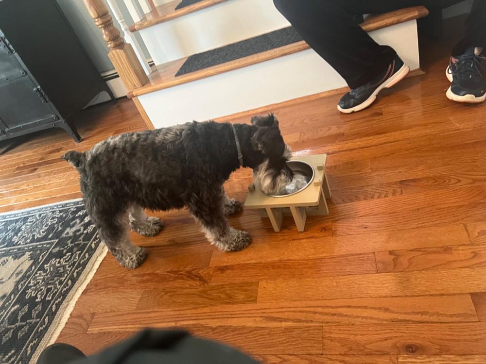 Basis Pet Stainless Steel Dog Bowls - Made in the USA - Customer Photo From Anonymous