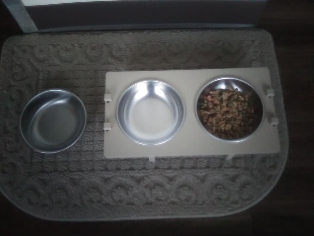 Stainless Steel Cat Bowl - Made in the USA - Customer Photo From Laura Throop