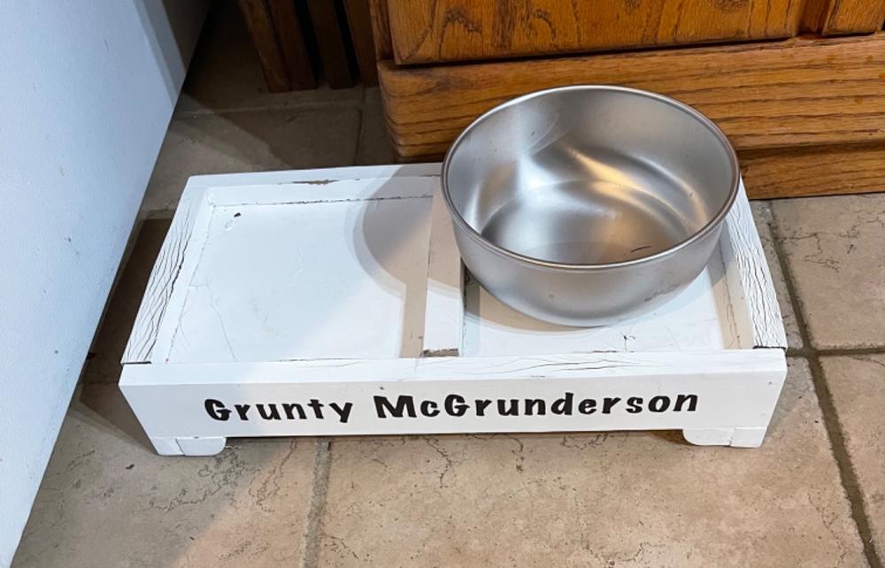 Stainless Steel Cat Bowl - Made in the USA - Customer Photo From Ronda Gilbert