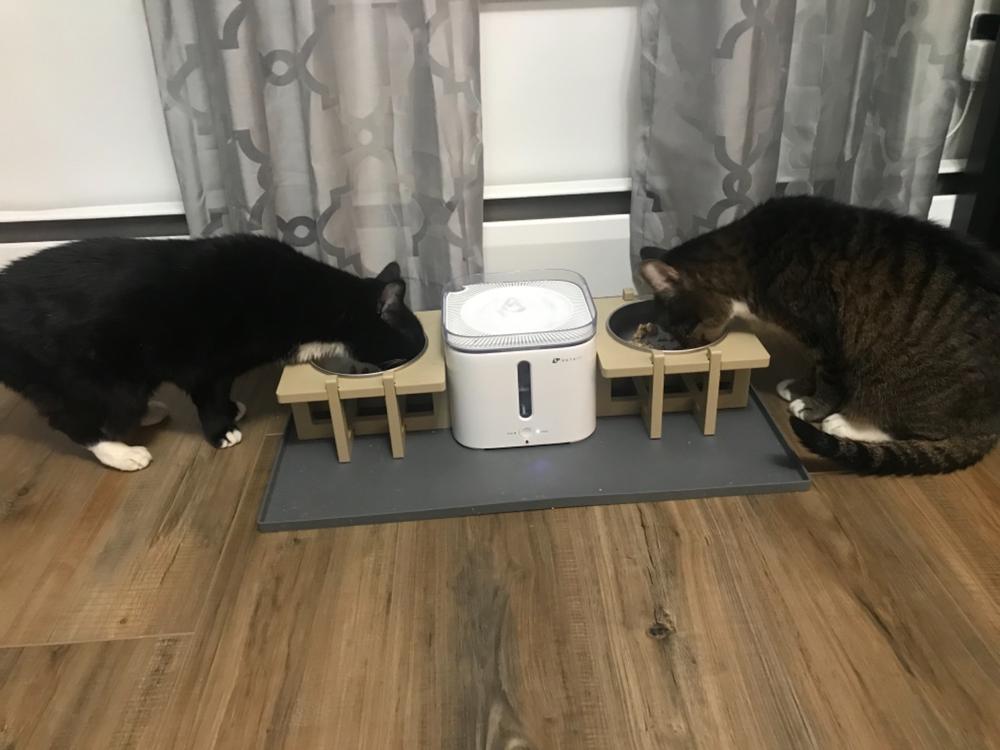 Rise Pet Bowl Stand, for Small Dog Bowls and Cat Bowls - Customer Photo From Erica Mills