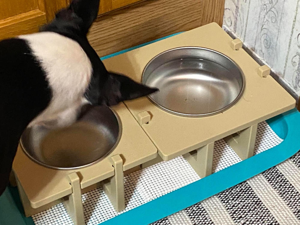 Rise Pet Bowl Stand, For Medium Dog Bowls - Customer Photo From Mary J Jenkinson