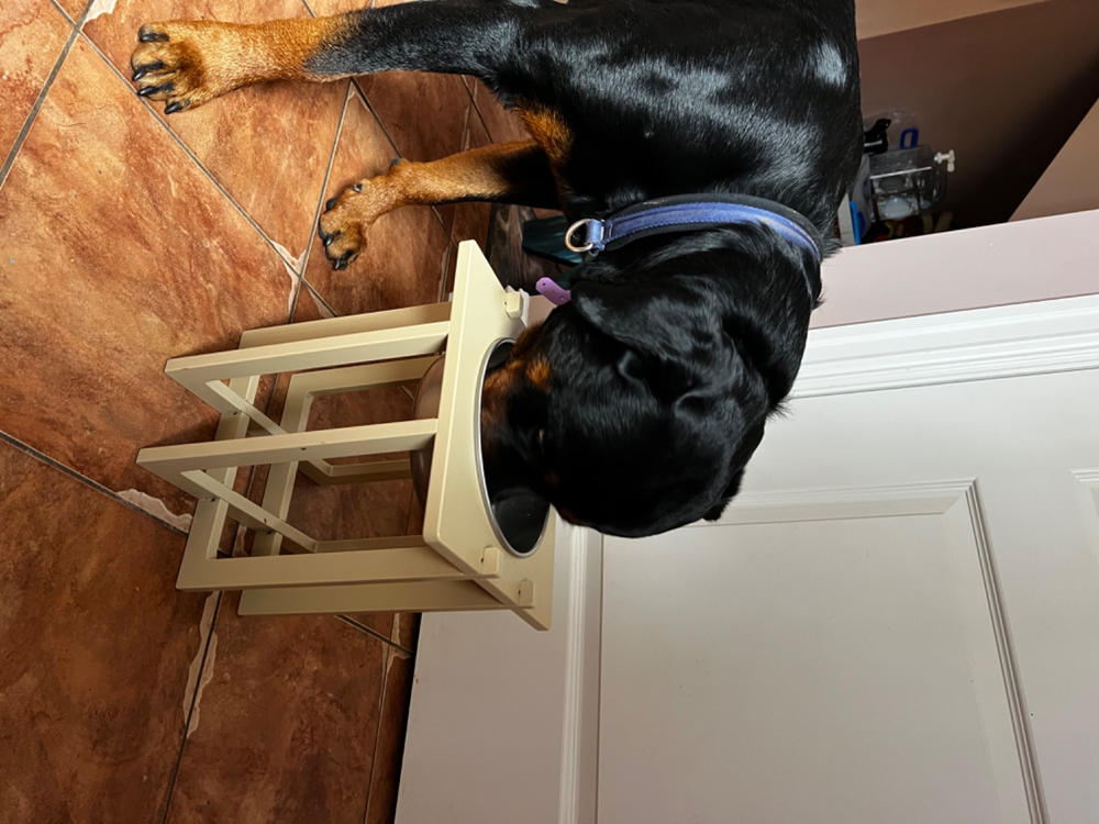 Rise Pet Bowl Stand, for Large Dog Bowls - Customer Photo From Cathy Hoffman