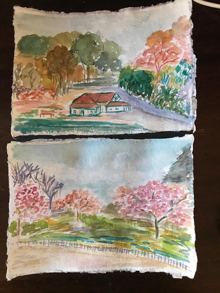 Artway Watercolour Paint Sets - Customer Photo From Paresha Raj-Burnett