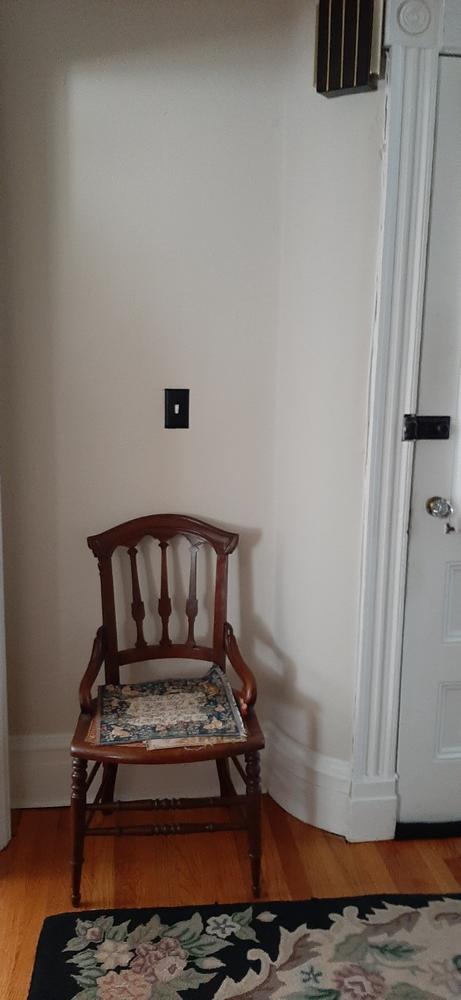 Wrought Iron Plain Switch Cover - Customer Photo From Susan Kerr