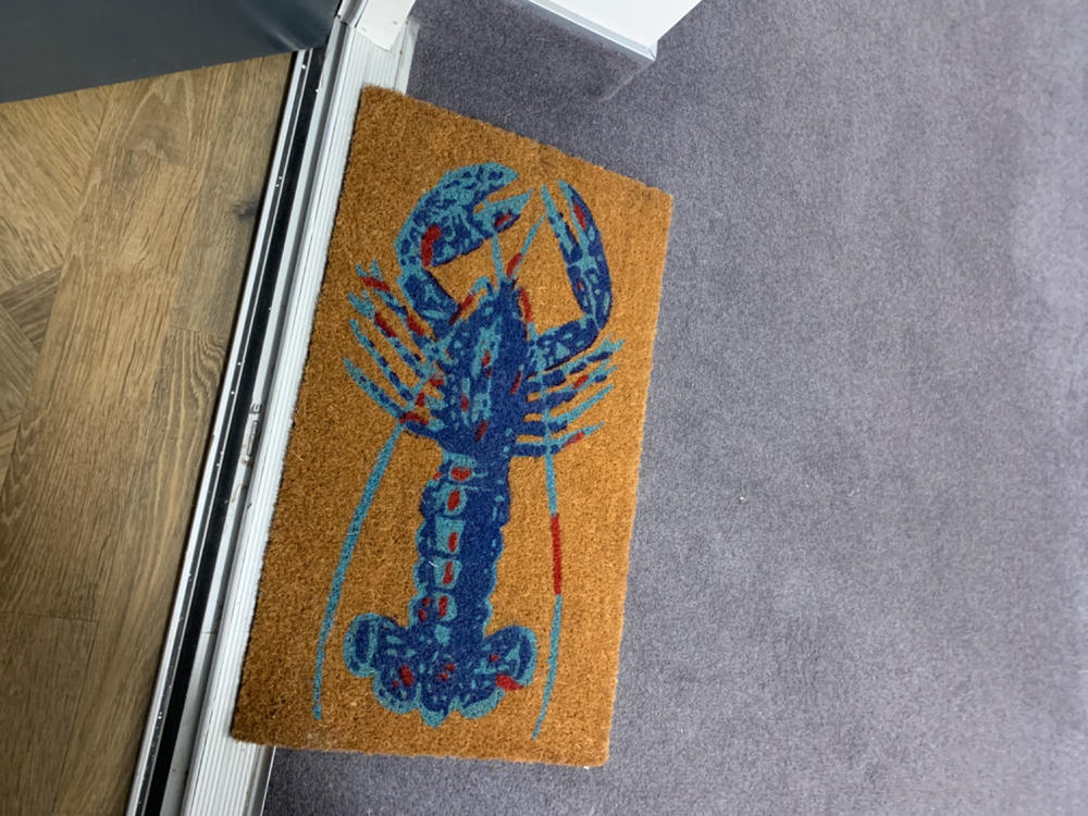 Blue Lobster Doormat - Customer Photo From Fiona Johnston