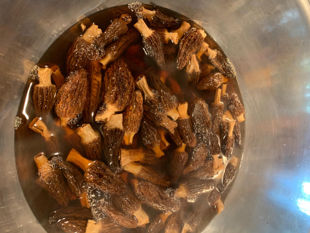 Dried Morel Mushrooms, Wild Morchellas - Customer Photo From Lisa Froehling
