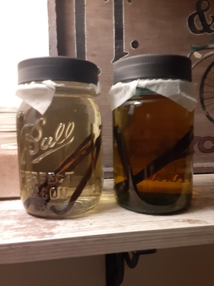 Gourmet Papua New Guinea Vanilla, Planifolia - Customer Photo From Lucinda Austerman